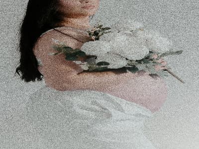 孕妇梦见从树上摘枣子 孕妇梦见从树上摘枣子