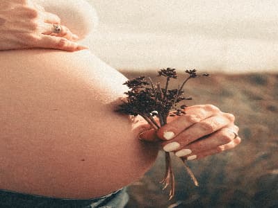 孕妇梦见黑狗 孕妇梦见黑狗